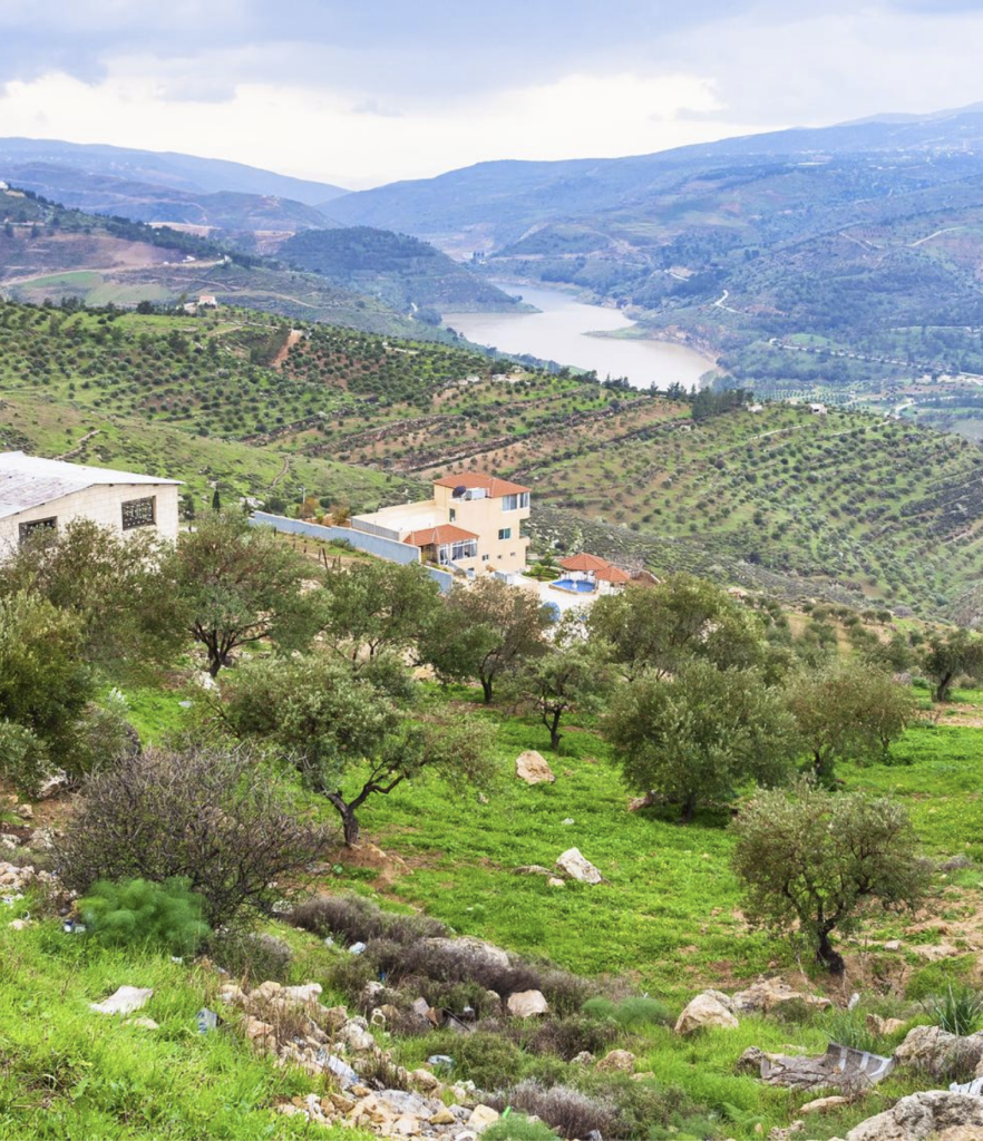 telal berin image 05